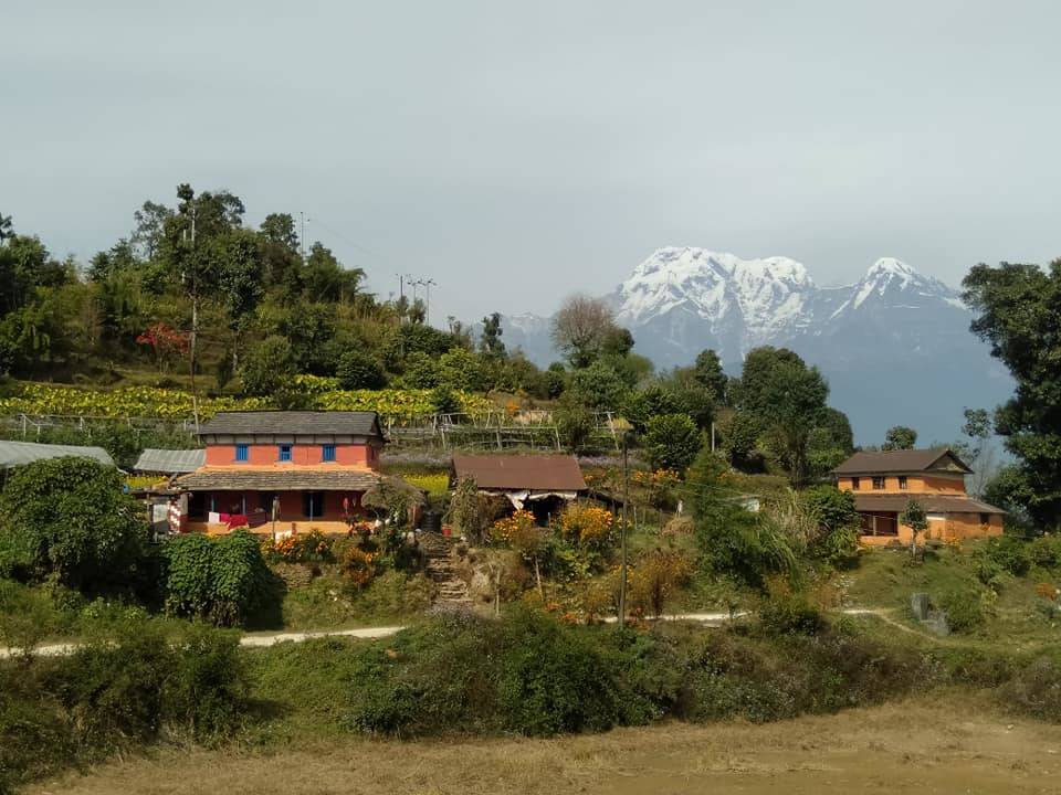 Dhampus Trek