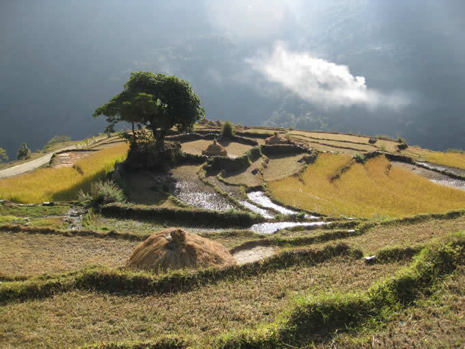 Mountainside farming