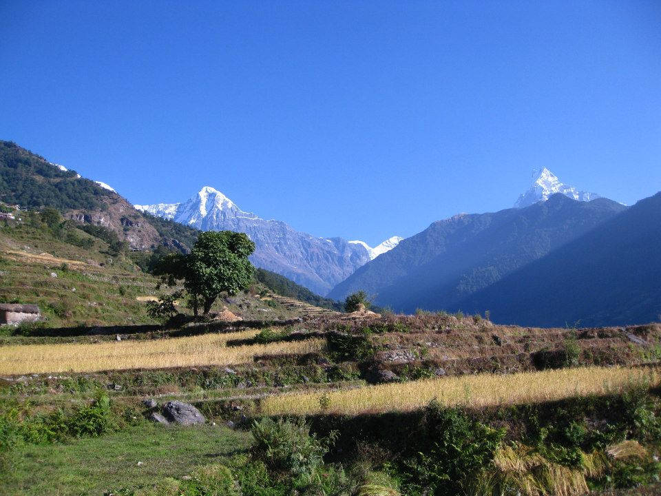 Ghandruk to Nayapul