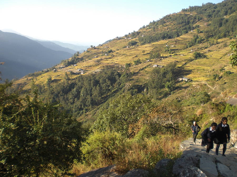 Ghandruk to Nayapul