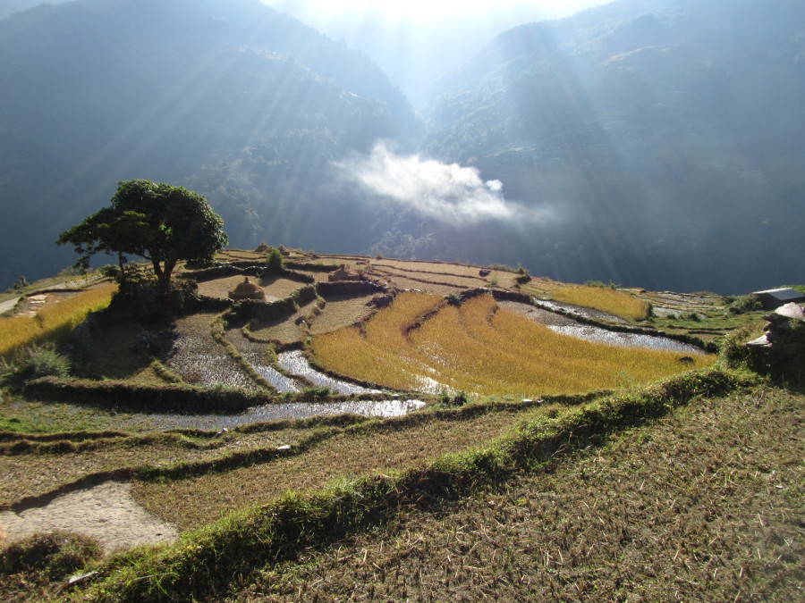 Ghandruk to Nayapul