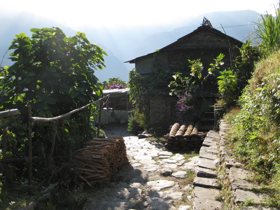 Ghandruk to Nayapul