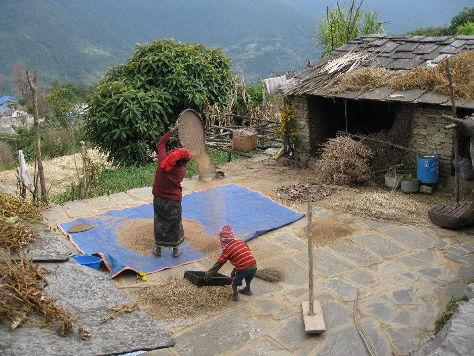 Village life Ghandruk