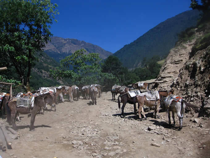 Mountain transport