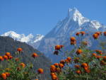 Machhapuchre