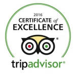 Tripadvisor 2016